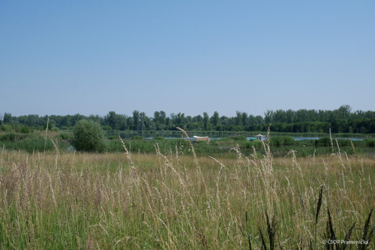 P1190557
