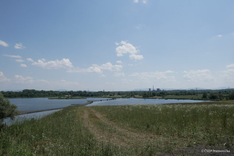 P1190600