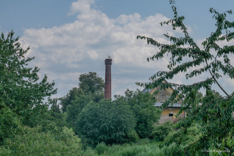 P1190608
