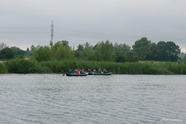 P1190695
