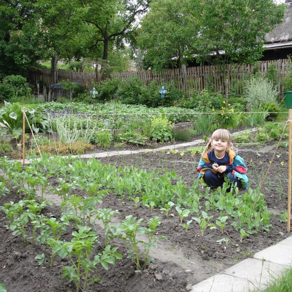 Havířov, 2006